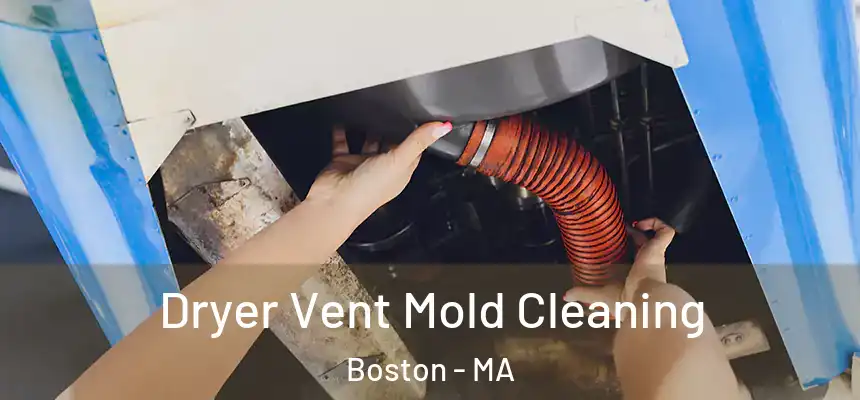 Dryer Vent Mold Cleaning Boston - MA