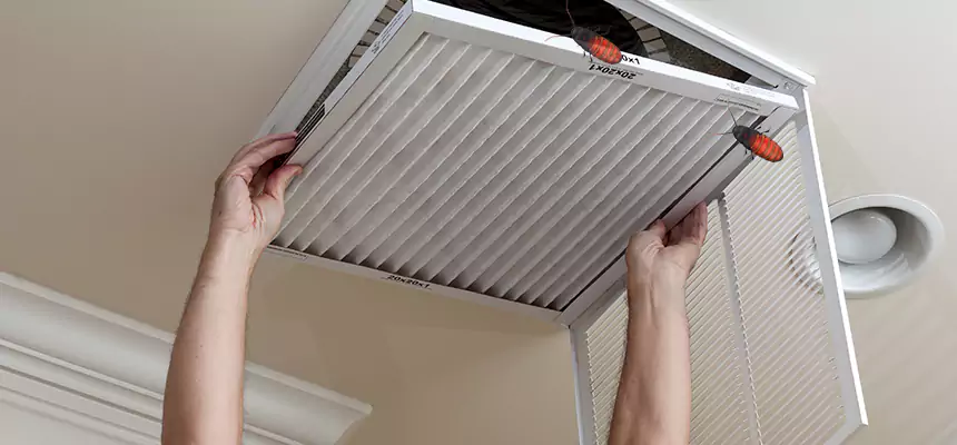Preventive Cockroach-Proofing for Ducts in Boston