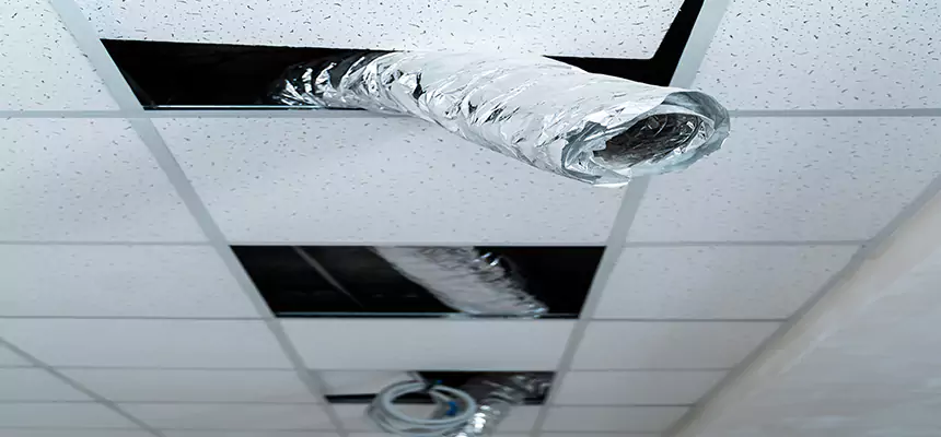 Our Air Duct Pet Hair Removal Services in Boston, MA