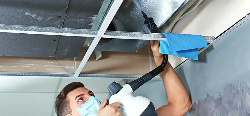 Our Air Duct Rodent Removal Services in Boston, MA
