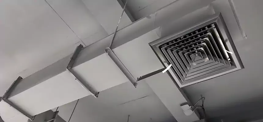 Our Pest Removal From Ducts Services in Boston, MA