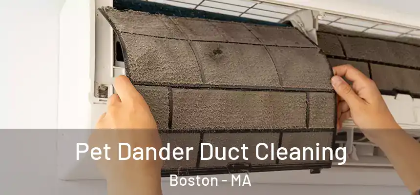 Pet Dander Duct Cleaning Boston - MA