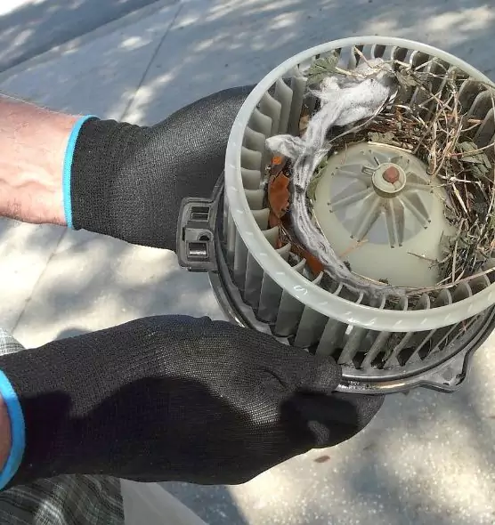 About Air Duct Rat Removal in Boston, MA