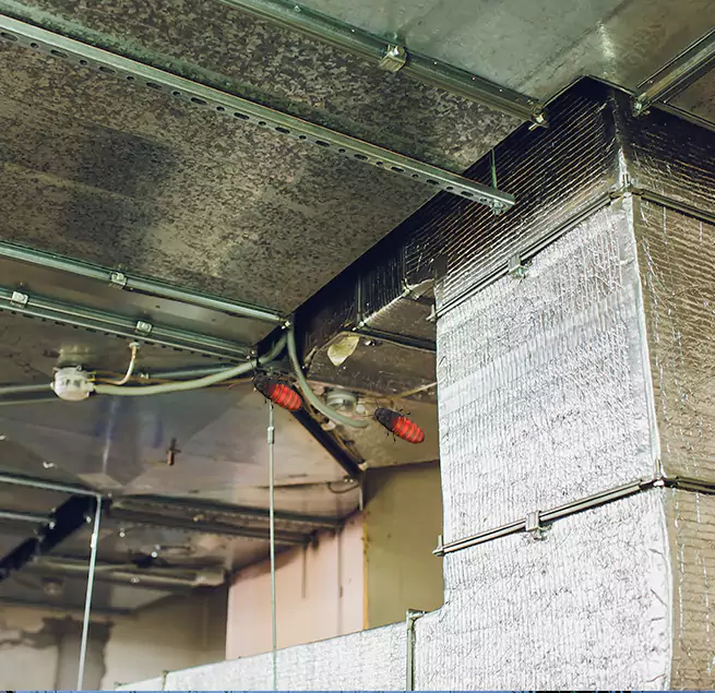 Why Homeowners & Businesses Trust Us in Boston, MA?