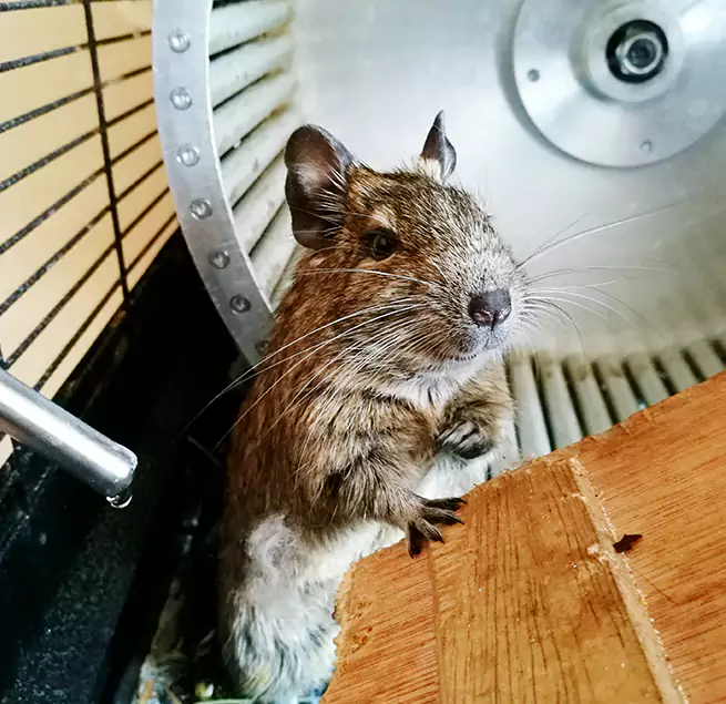 Why Homeowners & Businesses Trust Us Boston, MA