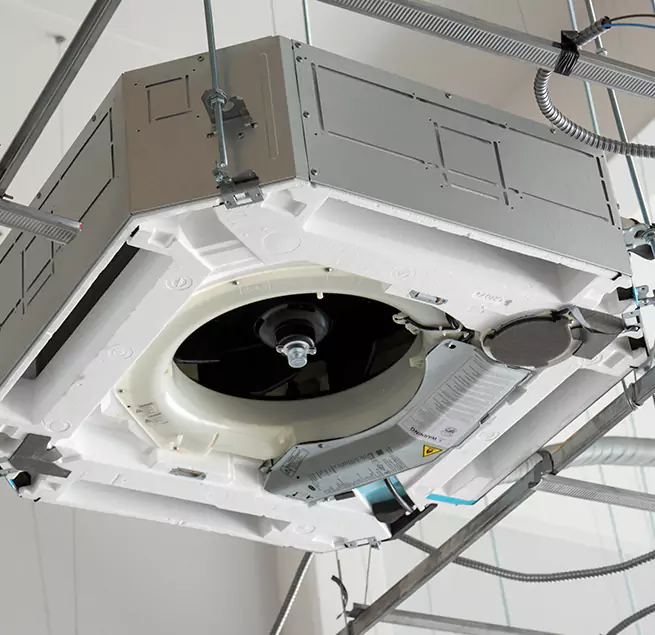 Why Homeowners & Businesses Trust Us in Boston, MA?