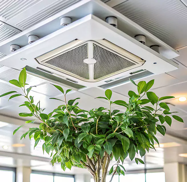 Why Homeowners & Businesses Trust Us in Boston, MA?