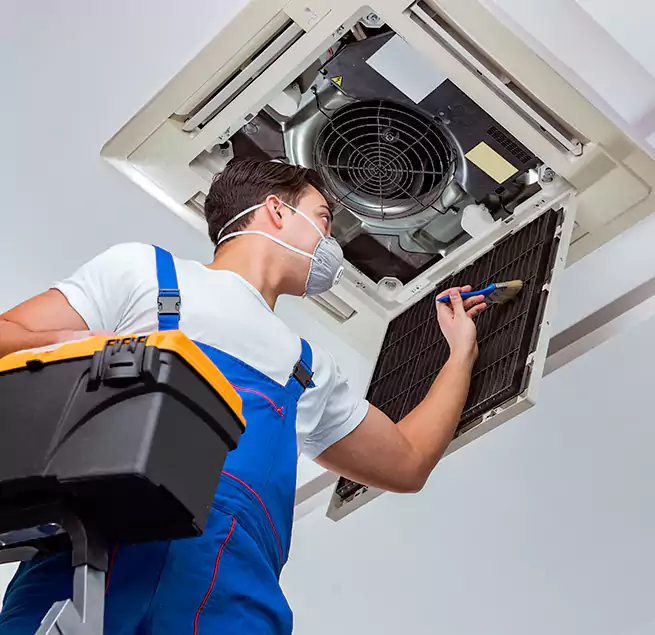 Why Homeowners & Businesses Trust Us in Boston, MA?