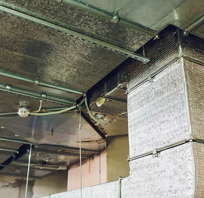 Why Homeowners & Businesses Trust Us in Boston, MA?